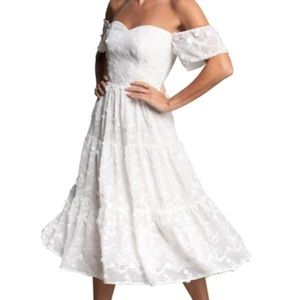 Dress the Population Embroidered River Dress NWT! Small